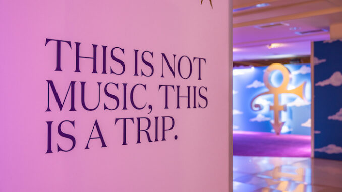 Lose Yourself in the Music and Life of Prince. Photo credit Superfly and Alive Coverage-2