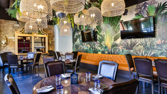 ElDo Birdcage Room